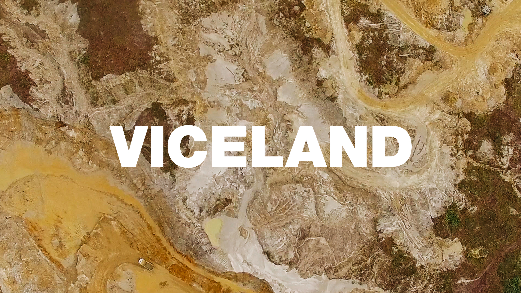 VICE — VICELAND Overview